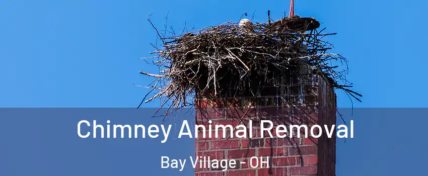  Chimney Animal Removal Bay Village - OH