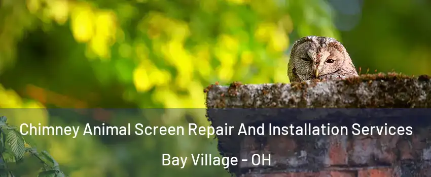  Chimney Animal Screen Repair And Installation Services Bay Village - OH
