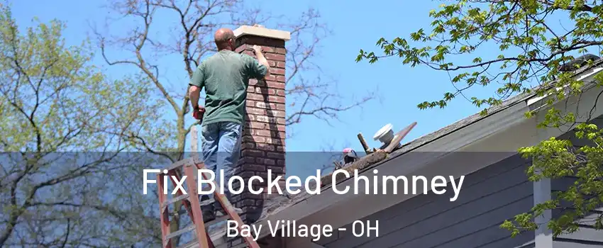  Fix Blocked Chimney Bay Village - OH