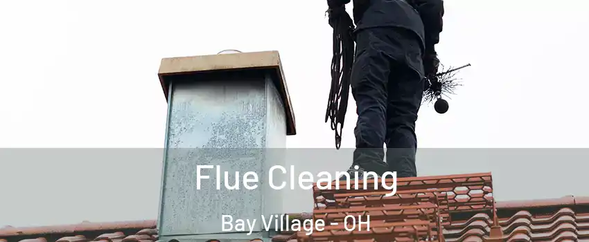  Flue Cleaning Bay Village - OH
