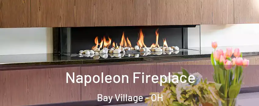  Napoleon Fireplace Bay Village - OH