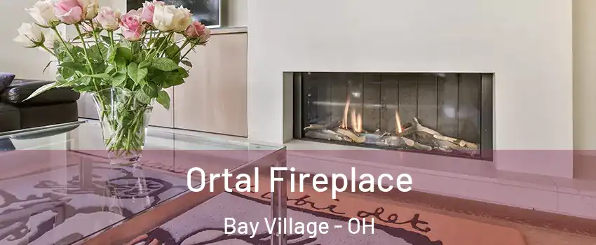  Ortal Fireplace Bay Village - OH